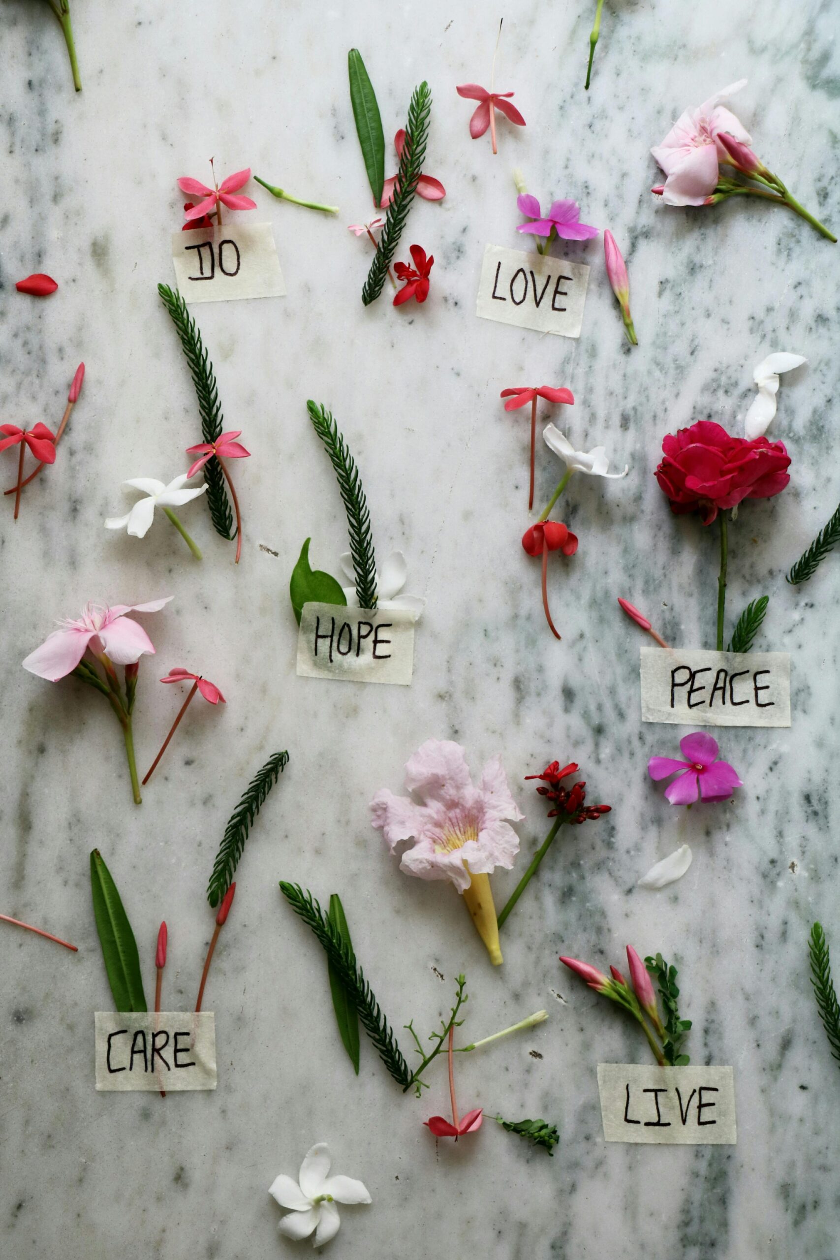 What to Do If My Spouse Doesn't Want a Divorce? Find Hope Today!