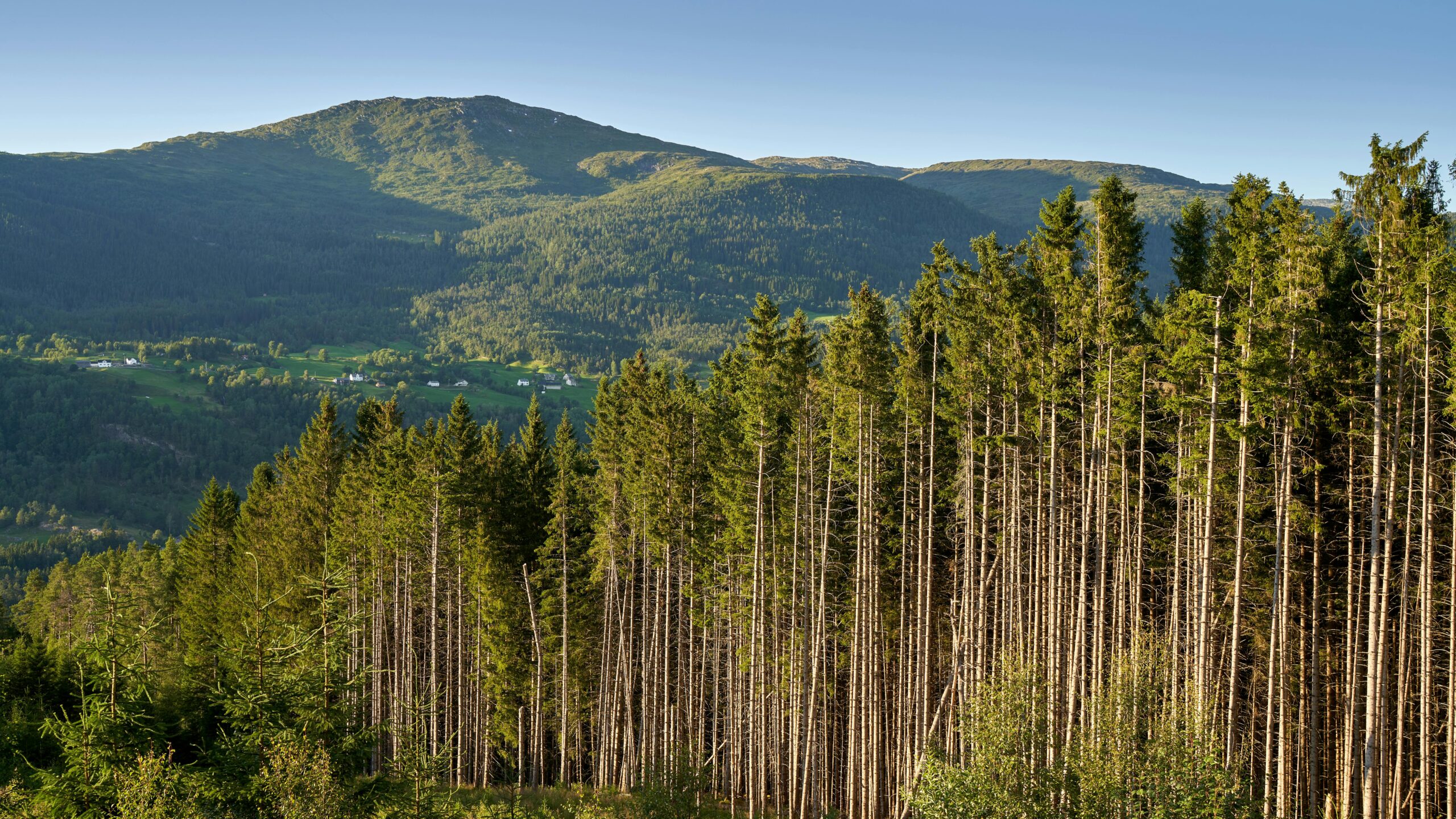 North Woods Law: Discover The Untold Secrets Behind Wildlife Patrol