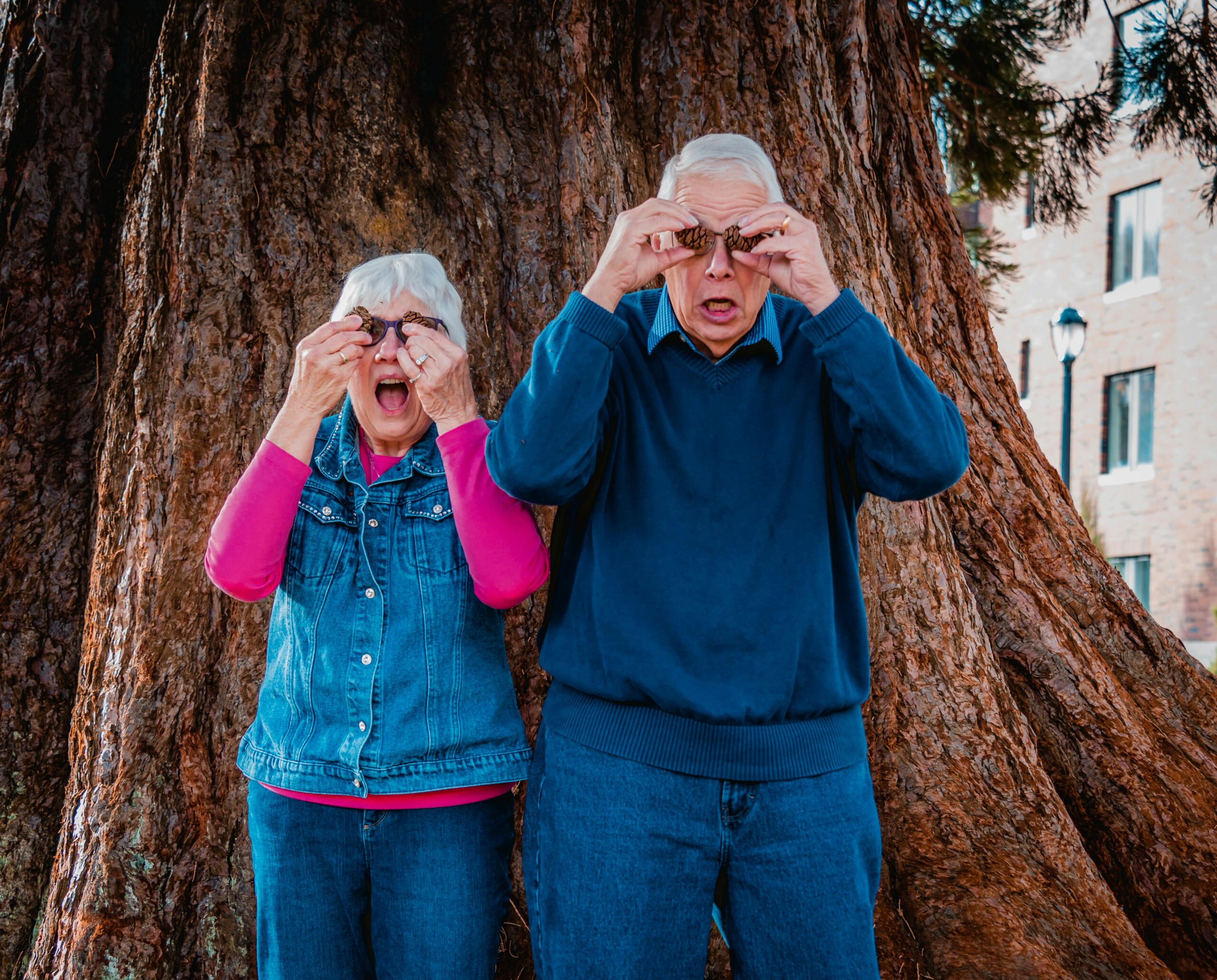 Funny Laws In The US That Will Leave You Laughing Out Loud