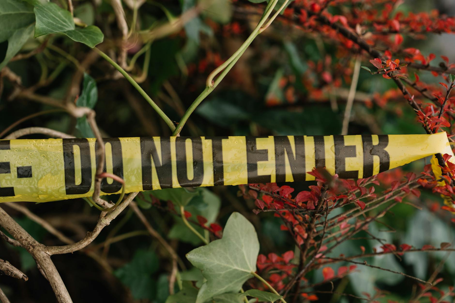 Understanding the 3 Key Elements of Breaking and Entering Charges